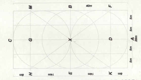 40m x 20m areana.