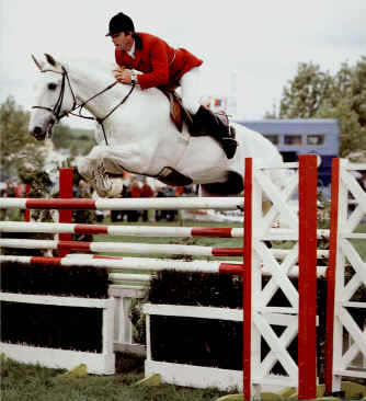 Novilheiro, a classicaly trained Lusitano.