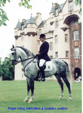 Roger riding Herculano, a Lusitano stallion.