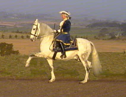 Eleanor riding Vivaldi at The Grove.