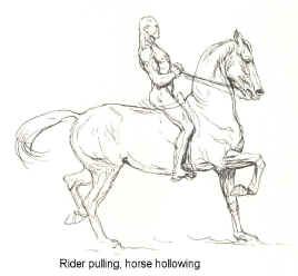 Rider pulling, horse following.