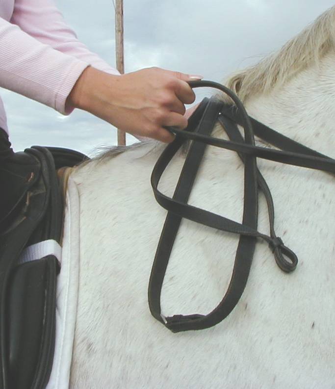 double bridle -method 4 - right hand