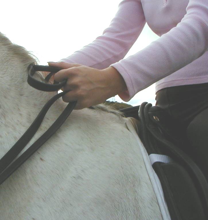 double bridle -method 4 - left hand