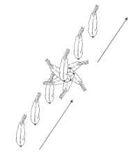 Half-pass can be used as a preparation for pirouettes.