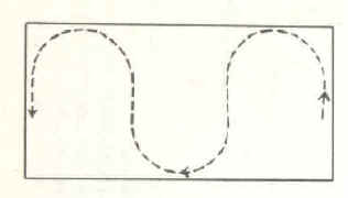 A serpentine can consist of any number of EQUAL sized loops. Here there are three.