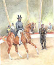 In the 19th Century, high school dessage was introduced to the circus.
Unfortunately this eventually led to the perception that high-school dressage was circusey