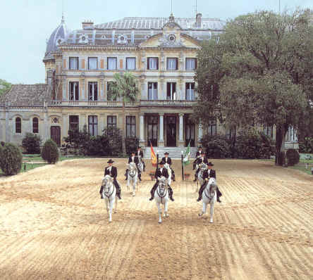 Display ride at the Spanish Riding School.